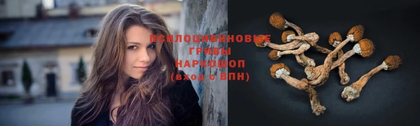 PSILOCYBIN Армянск