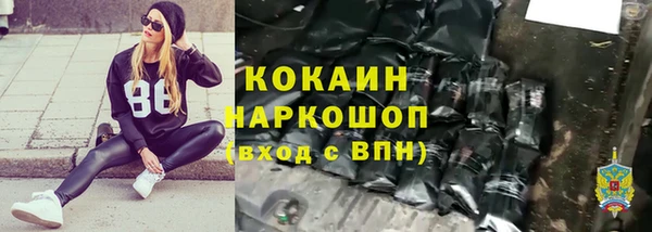 СК Осинники