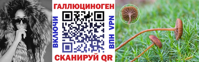 Псилоцибиновые грибы мицелий  Севск 